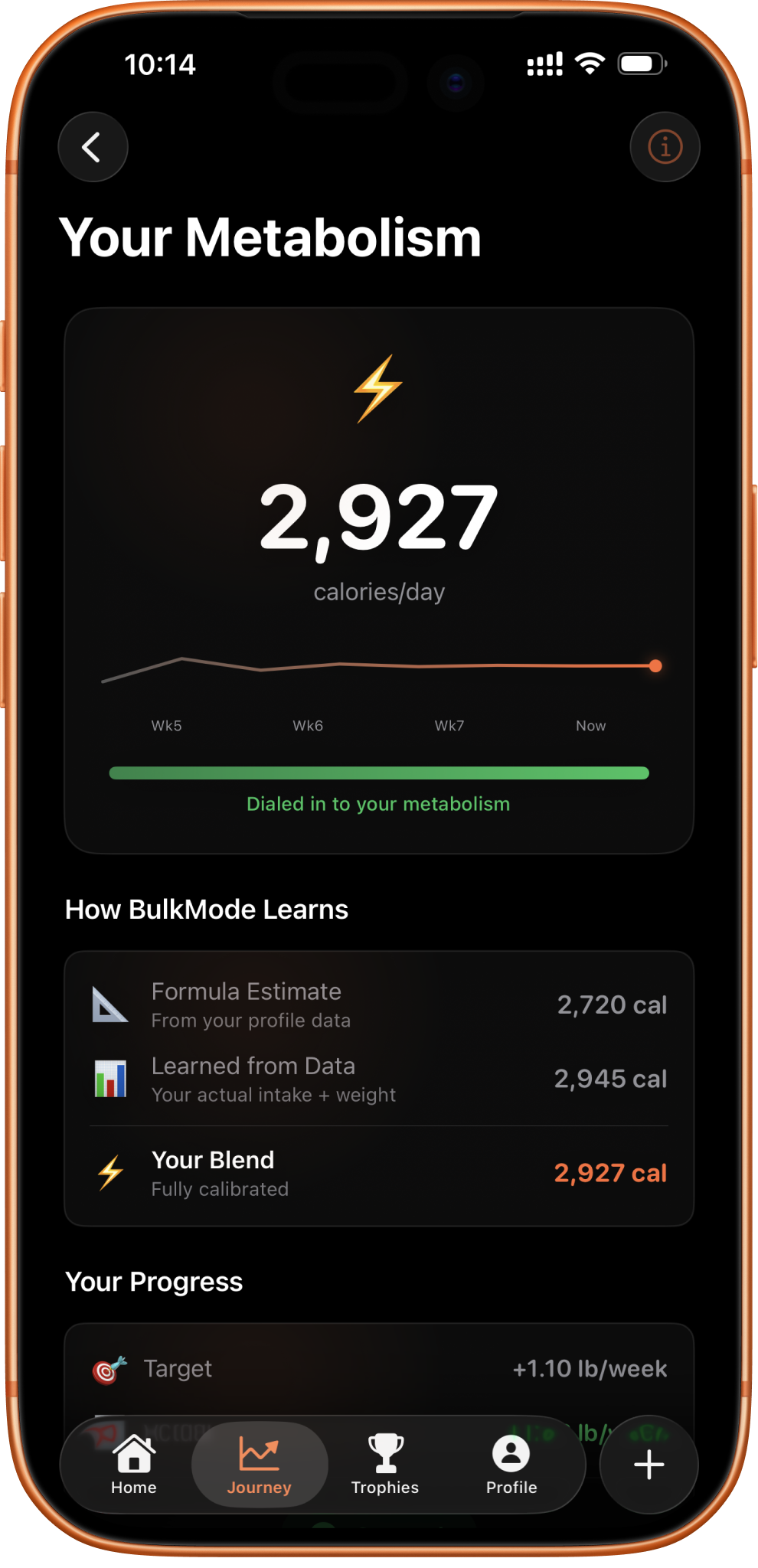 BulkMode metabolism tracking showing personalized calorie targets learned from your actual data
